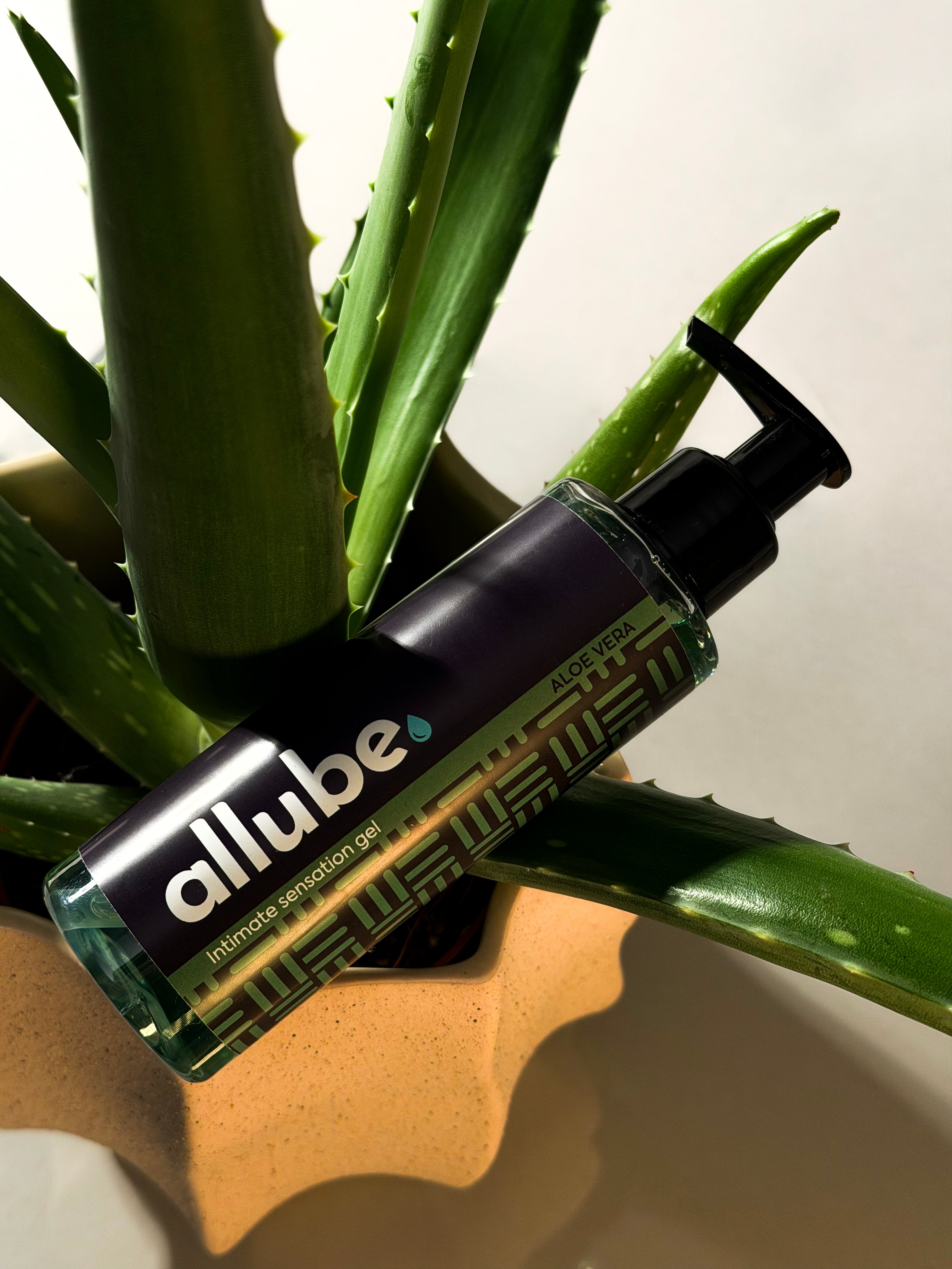 Aloe Vera - Intimate Touch Glide Gel